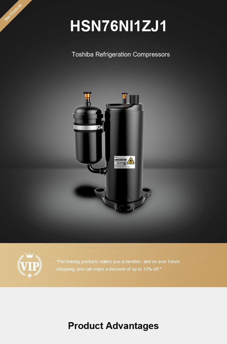 Toshiba Compressor HSN76NI1ZJ1, technical parameters pdf, structure diagram